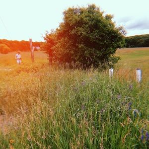 Meet your Posher, Sasha